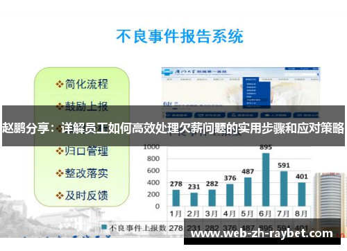 赵鹏分享：详解员工如何高效处理欠薪问题的实用步骤和应对策略