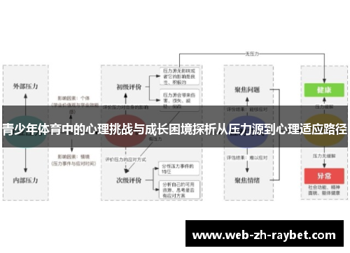 青少年体育中的心理挑战与成长困境探析从压力源到心理适应路径 青少年体育中的心理挑战与成长困境探析从压力源到心理适应路径